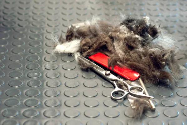 Smart Electrical Solutions for Energy Efficiency