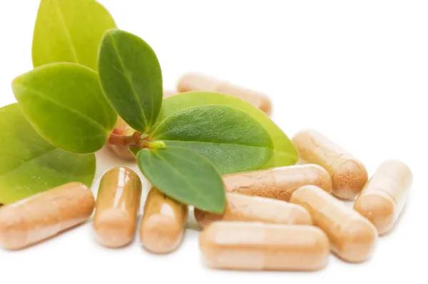 Discover The Role Do Herbal Supplements Play in Boosting Immune Function Benefits