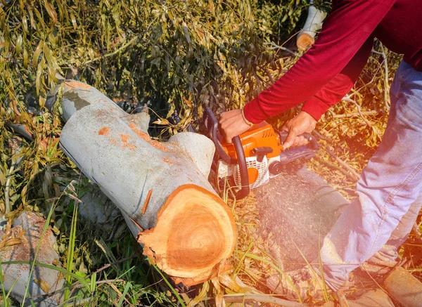Local Loganville Septic Repairs Backed by Proven Expertise