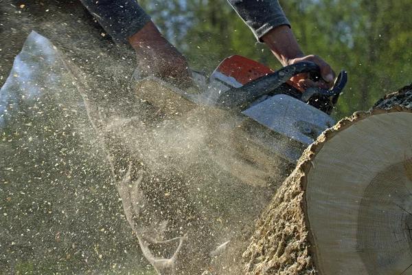 Keeping Your Landscape Safe With Quality Tree Removal Service